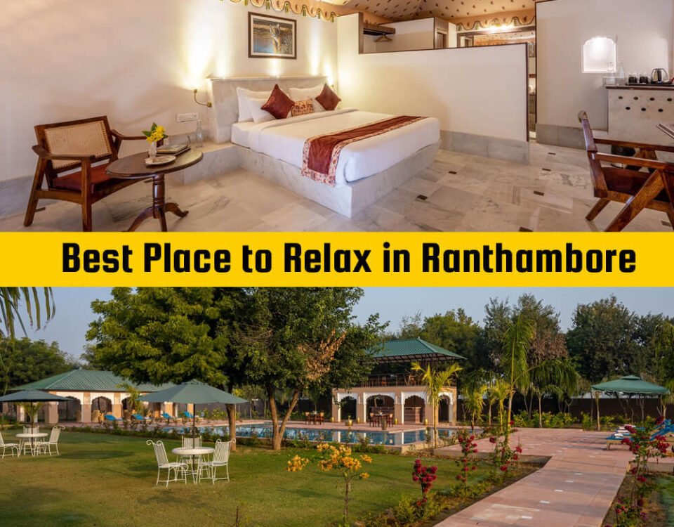 Best-Resort-in-Ranthambore