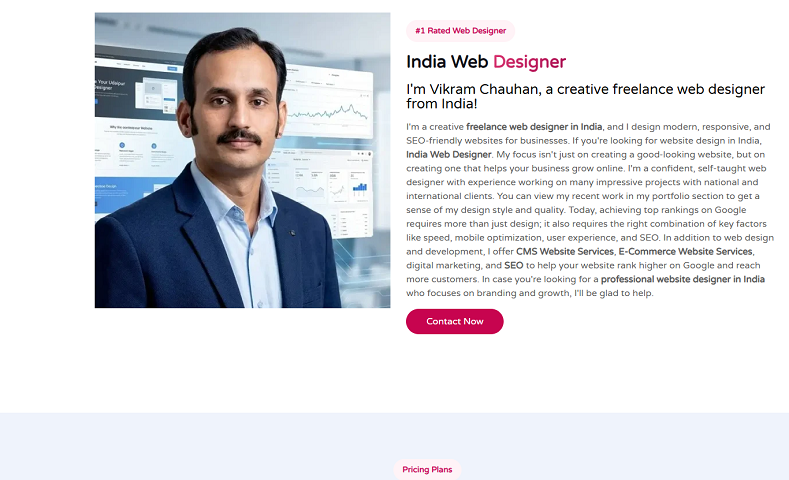 india web designer